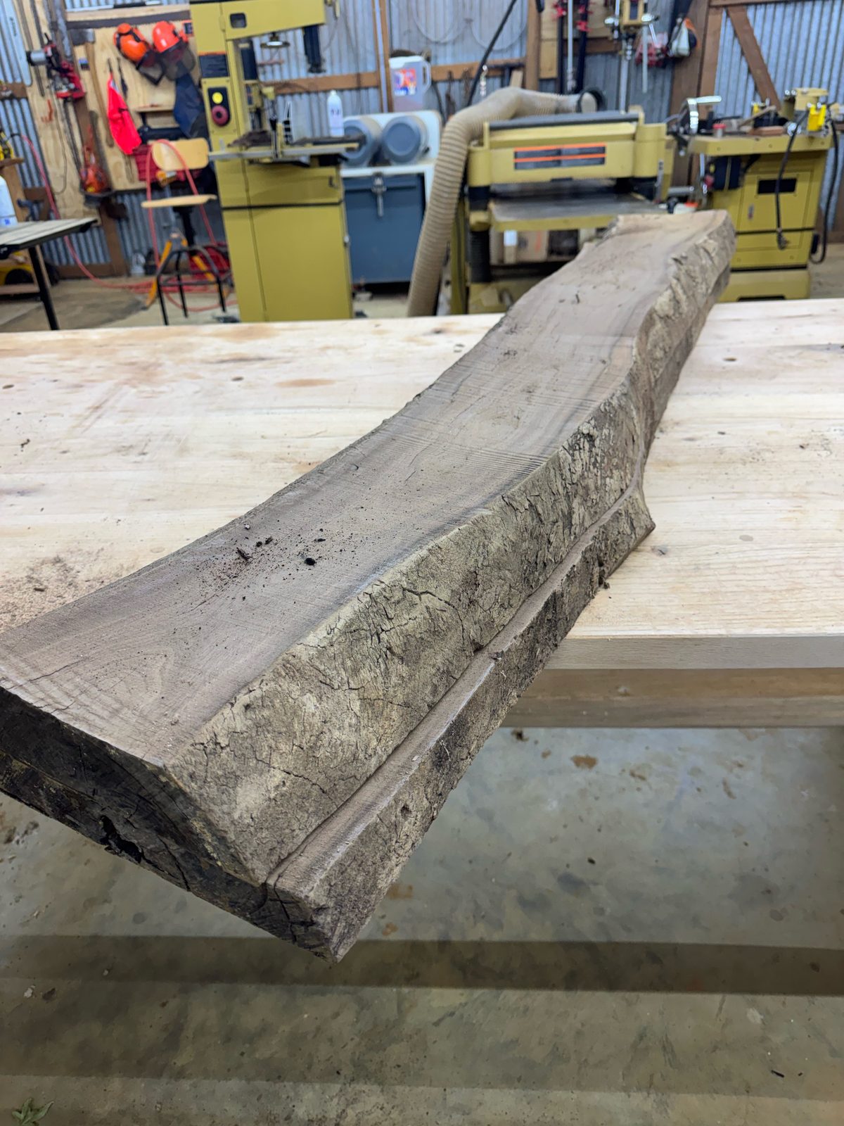 Black walnut bookmatch pair, lot BW002, photo 4