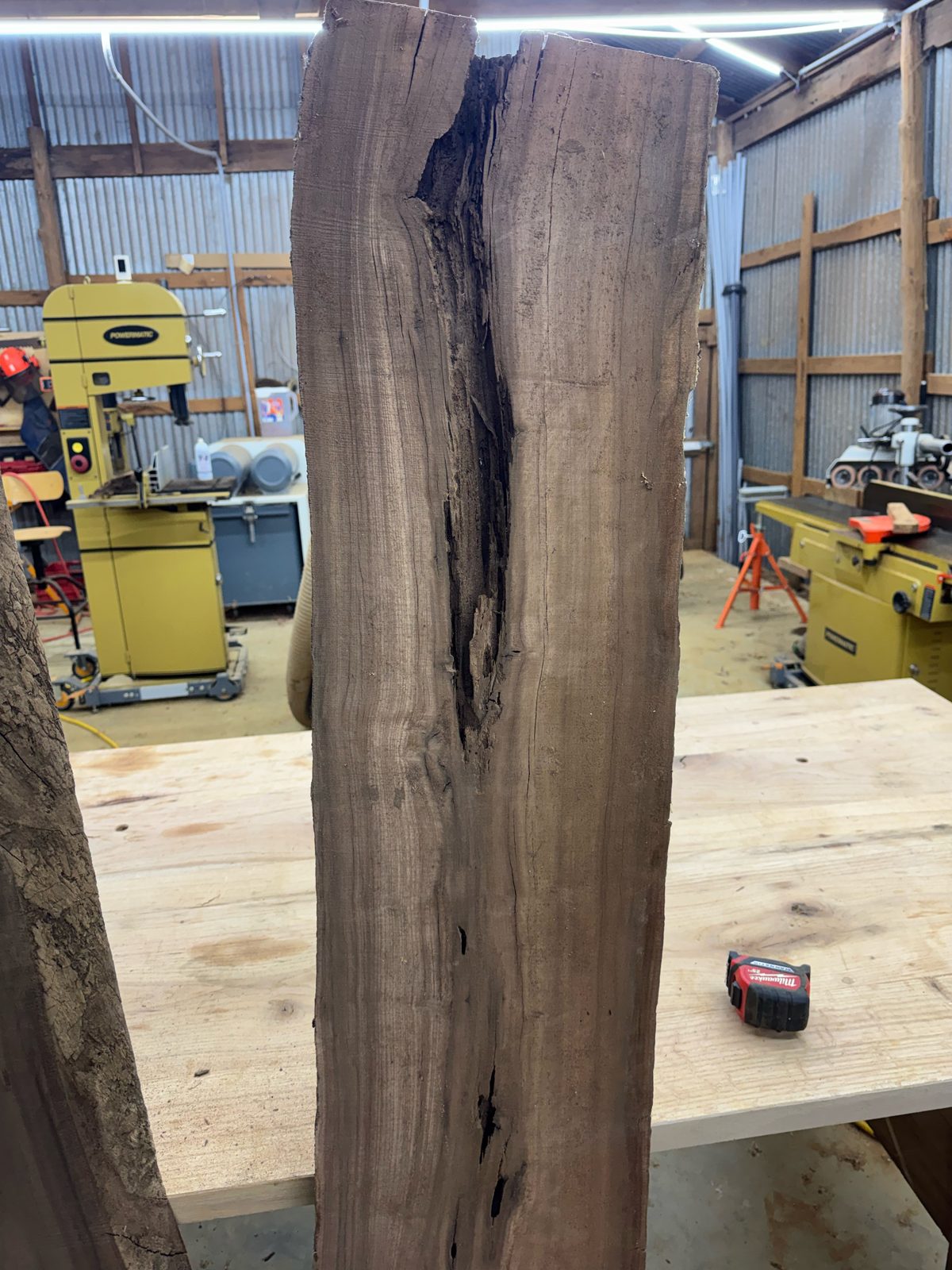 Black walnut bookmatch pair, lot BW002, photo 2