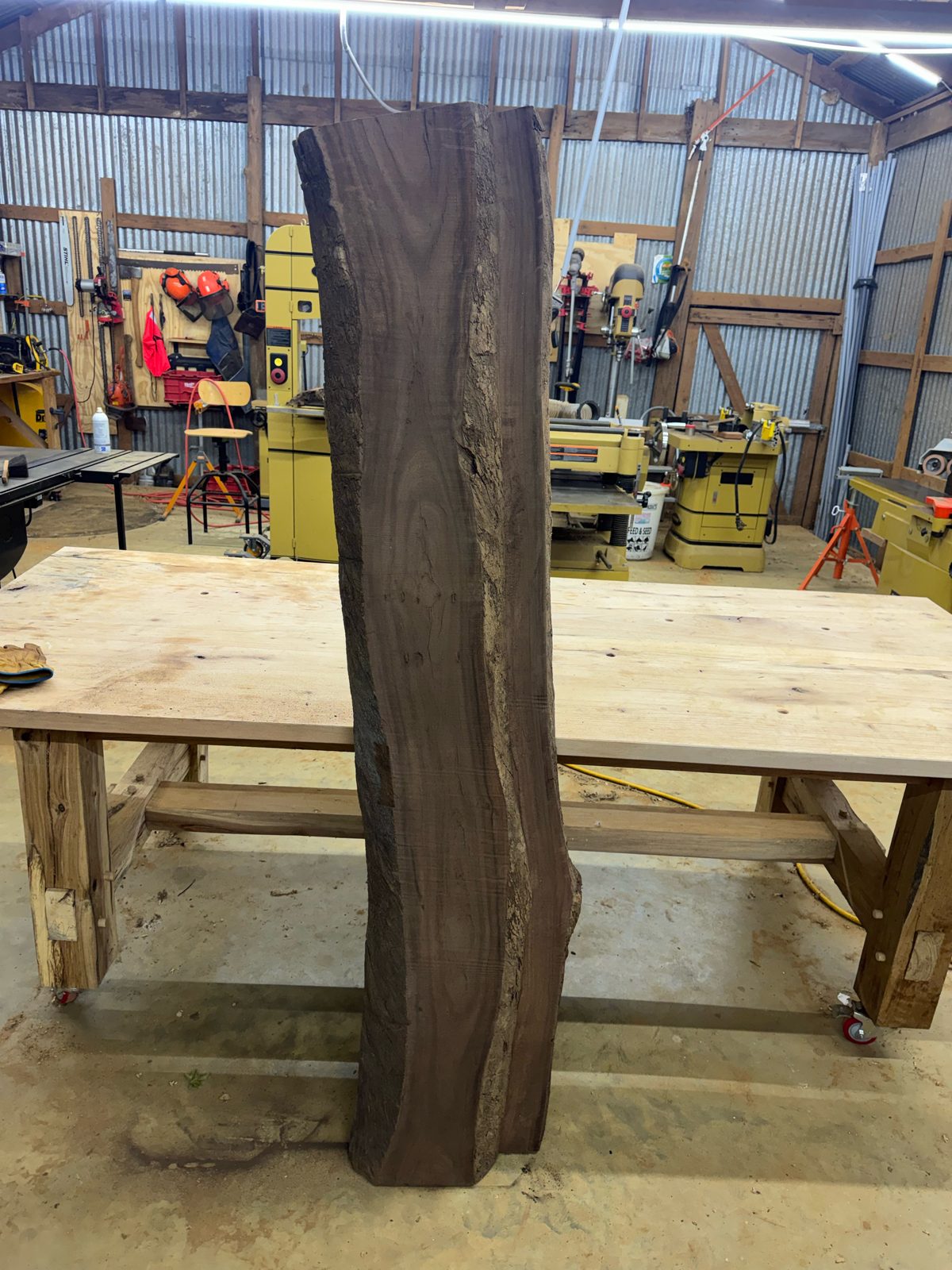 Black walnut bookmatch pair, lot BW002, photo 3